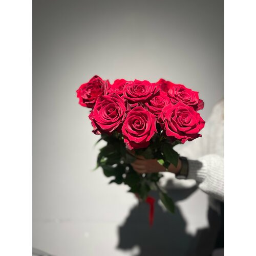 Розы Explorer 9 шт «Цветочная лавка»