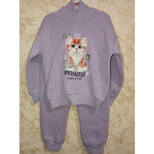 фото Брюки , размер 110/5, фиолетовый нет бренда