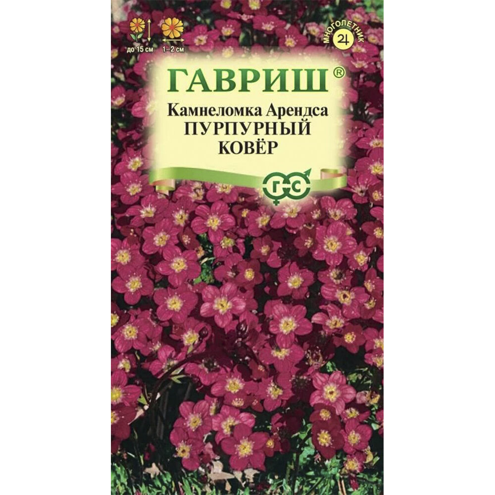 Семена Камнеломка Арендса Пурпурный ковер 0,01 г