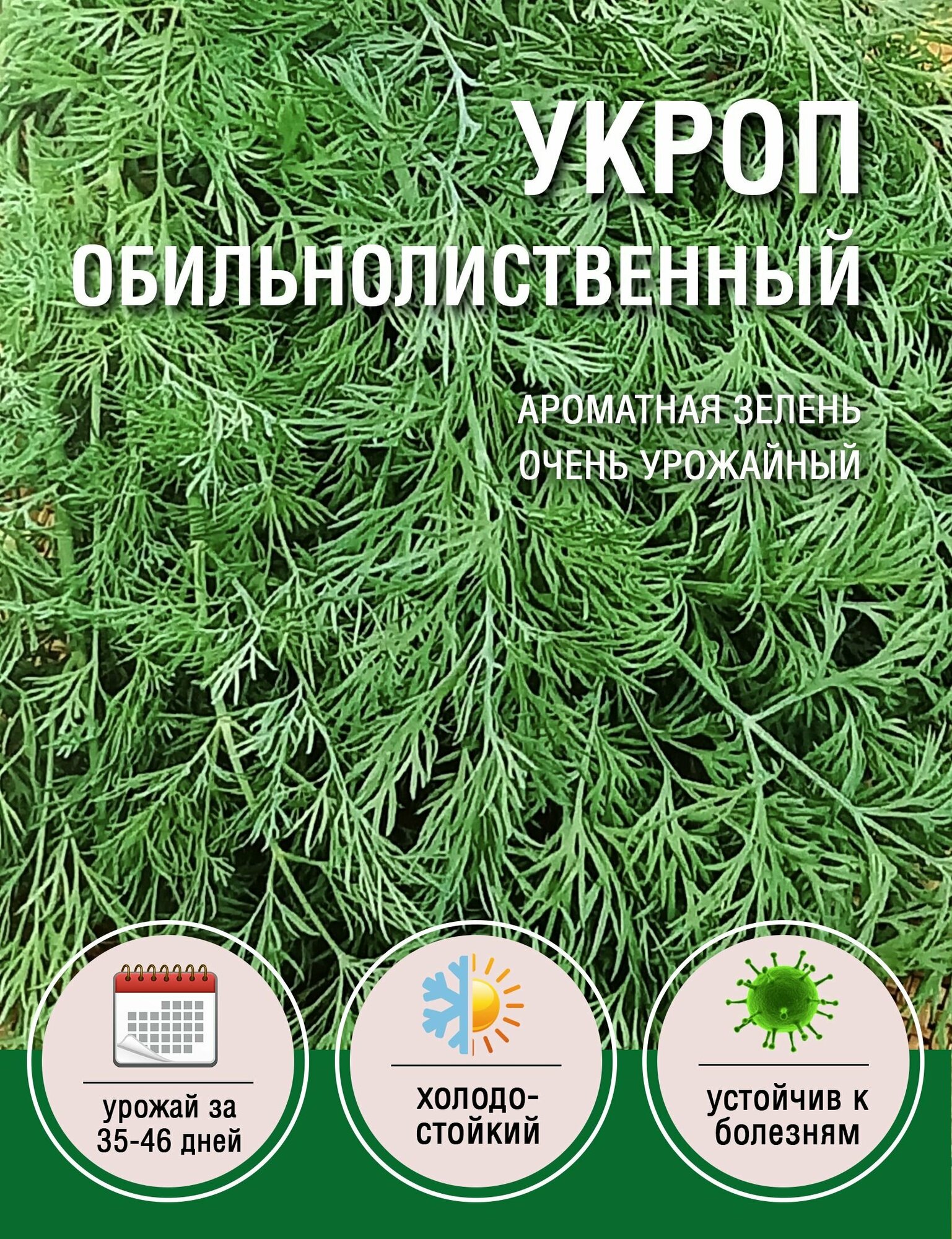 Укроп Обильнолиственный (1 пакет по 3гр)