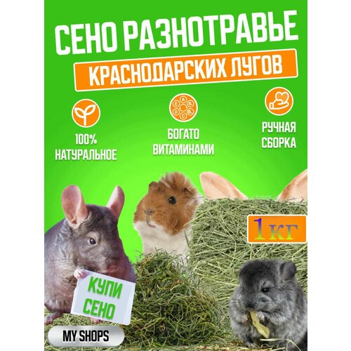 картинка0