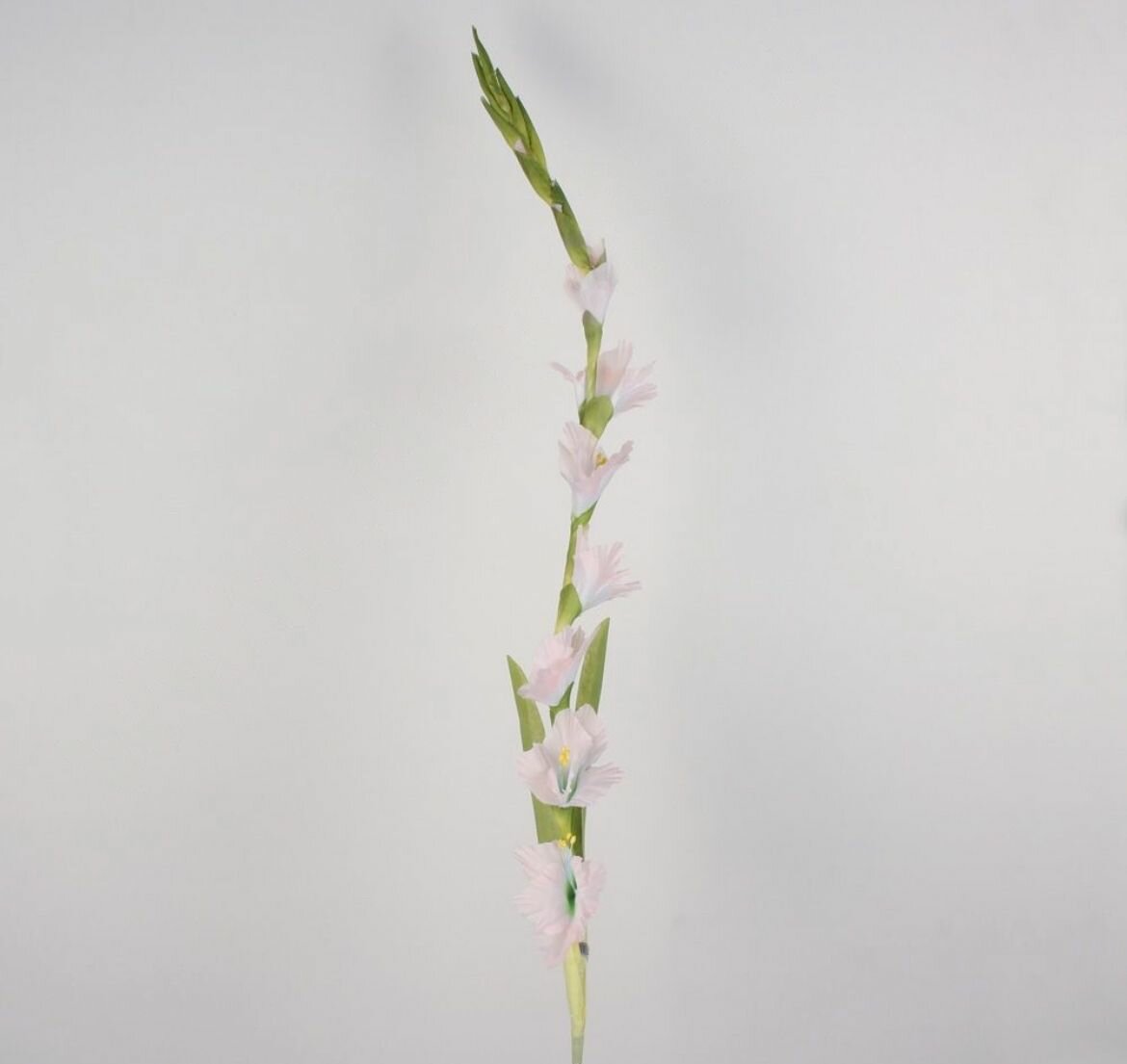 Цветок гладиолуса 7 головок 110 см 1 шт. розовый