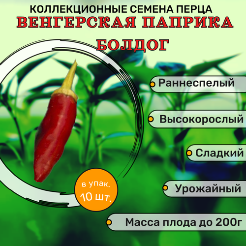 Коллекционные семена перца сладкого Венгерская Паприка Болдог