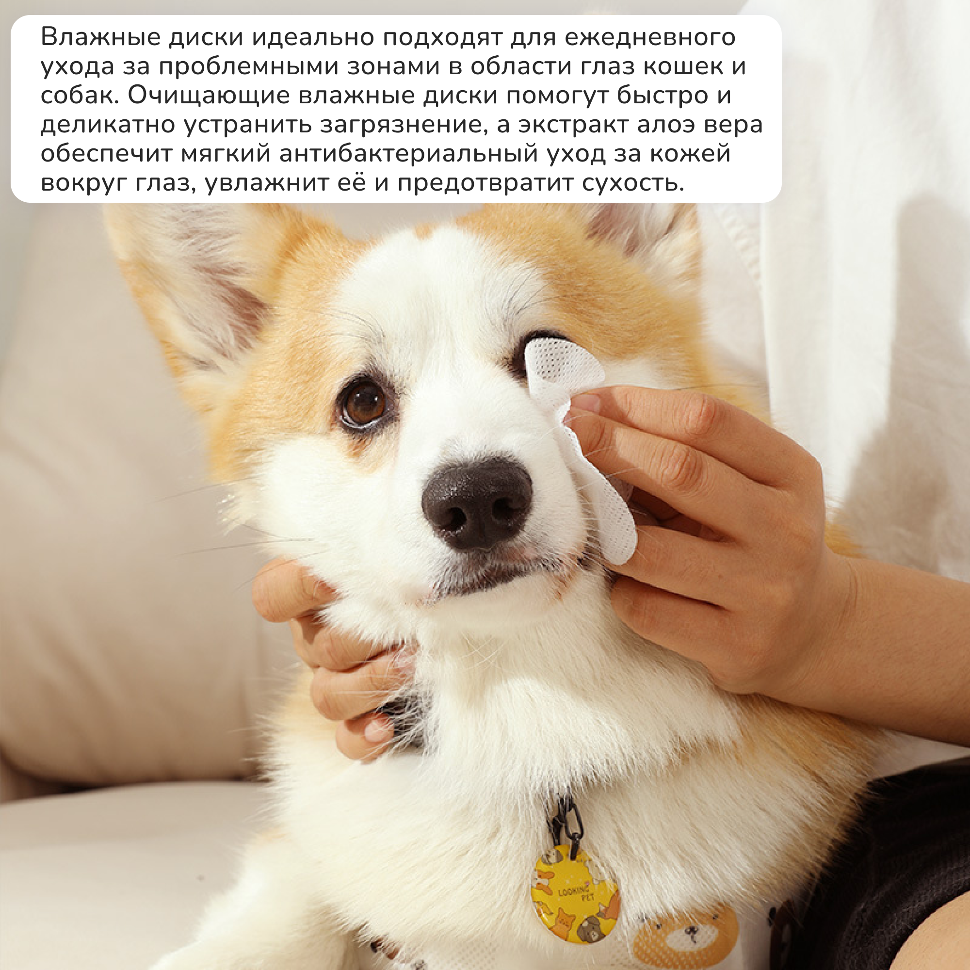 Влажные салфетки для собак и кошек Pet Friendly диски с пропиткой Алоэ вера для ежедневного ухода за мордочкой питомца помогут быстро и деликатно устранить загрязнения шерсти, 200 шт