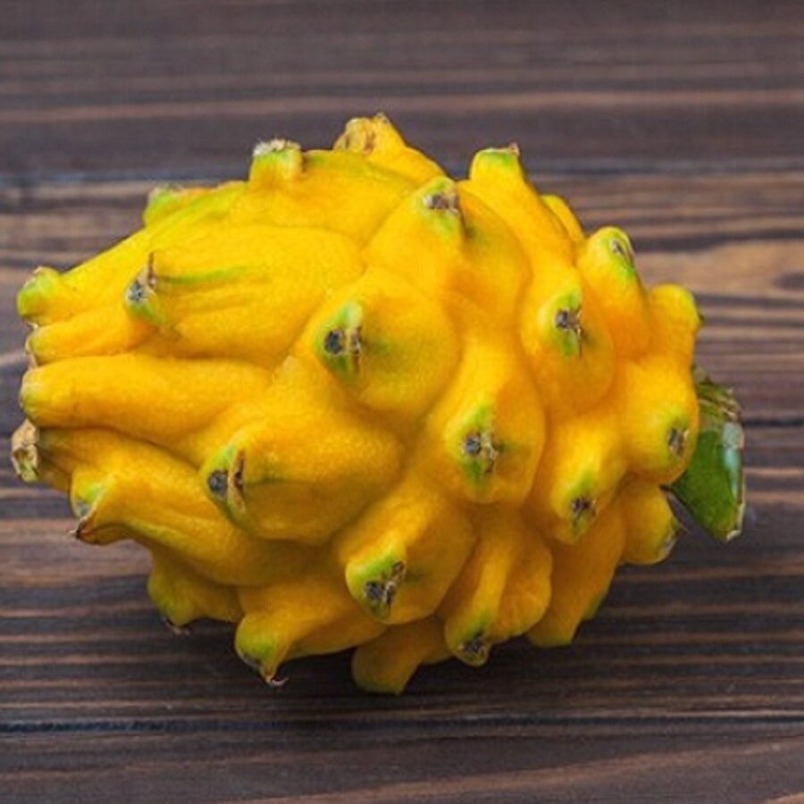 Семена Орешка Питахайя желтая с белой мякотью, Dragon fruit yellow 10 шт.