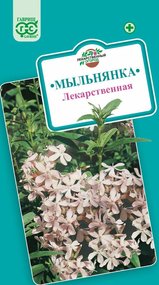 Семена Мыльнянка 05г Гавриш Лекарственная 10 пакетиков