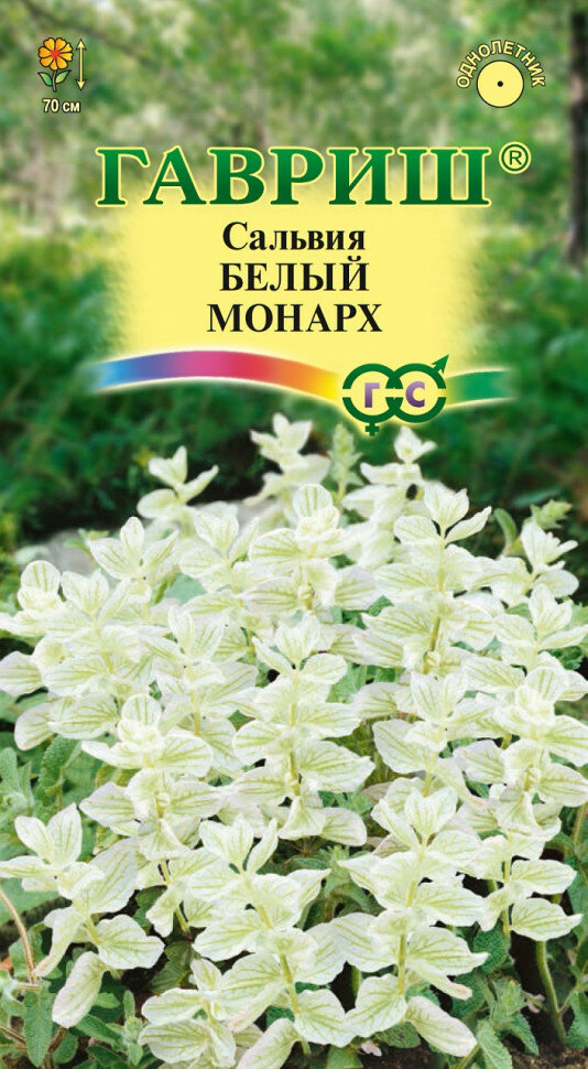 Семена Сальвия Белый монарх 005г Гавриш Цветочная коллекция 10 пакетиков