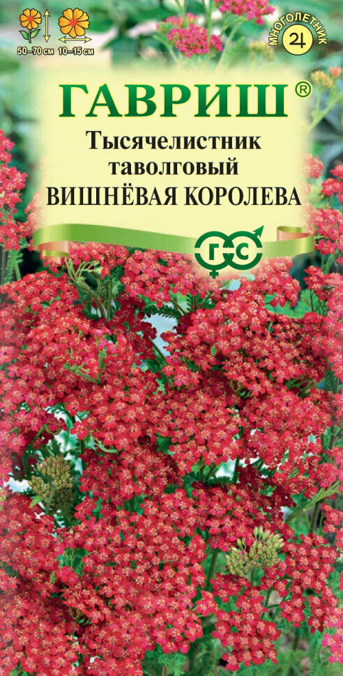 Семена Тысячелистник Вишневая королева 005г Гавриш Цветочная коллекция 10 пакетиков