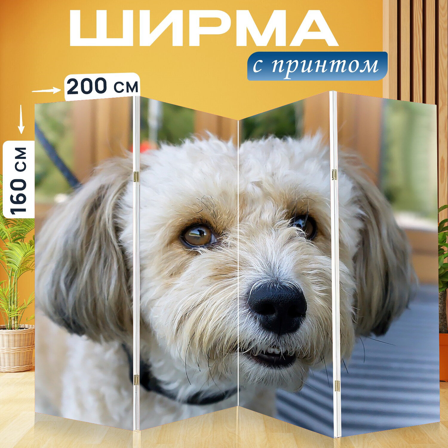 Ширма перегородка с принтом "Собака, домашнее животное, небольшой" на холсте - 200x160 см. для зонирования, раскладная