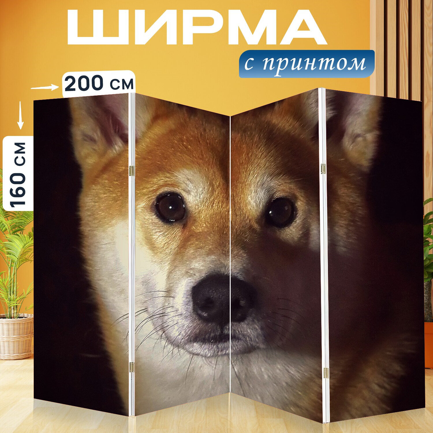 Ширма перегородка с принтом "Собака, сиба, домашнее животное" на холсте - 200x160 см. для зонирования, раскладная