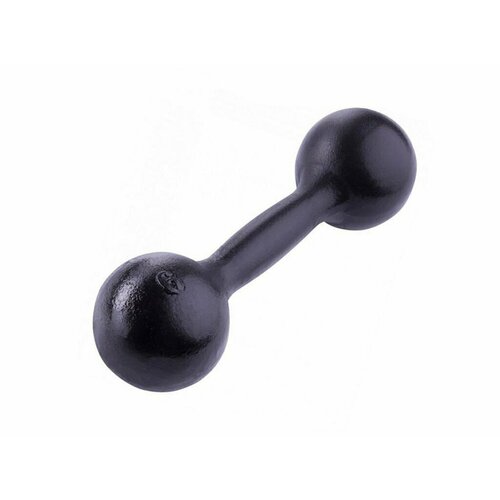 Гантель литая 6 кг 2319₽