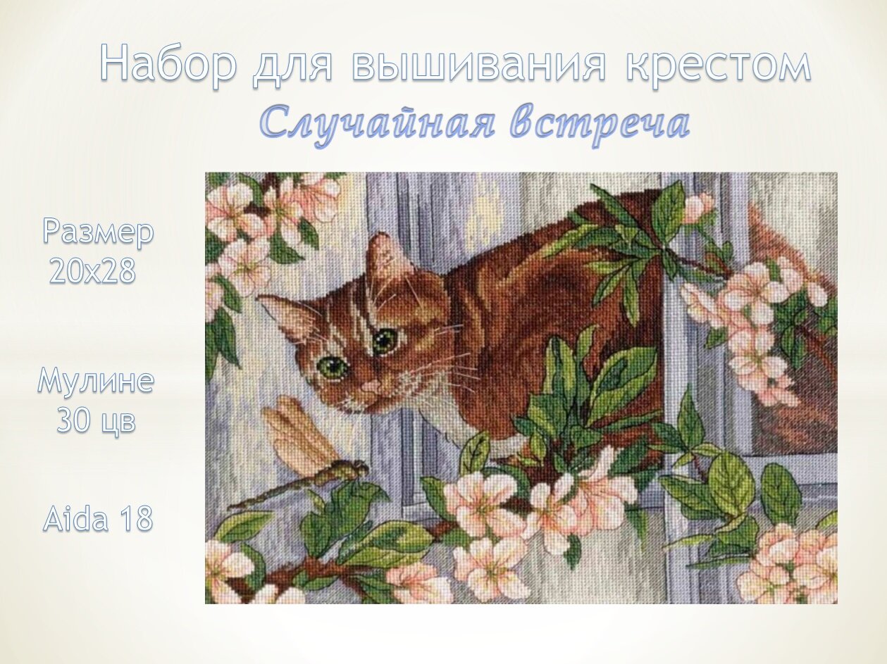 НВ-611 Случайная встреча (МП Студия) - фото №2