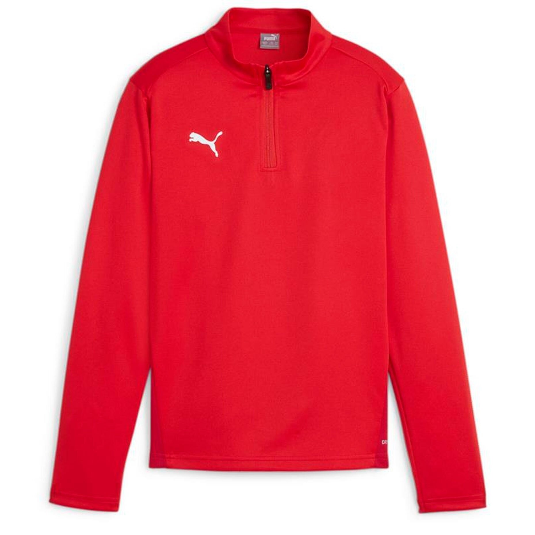 Олимпийка PUMA teamGOAL