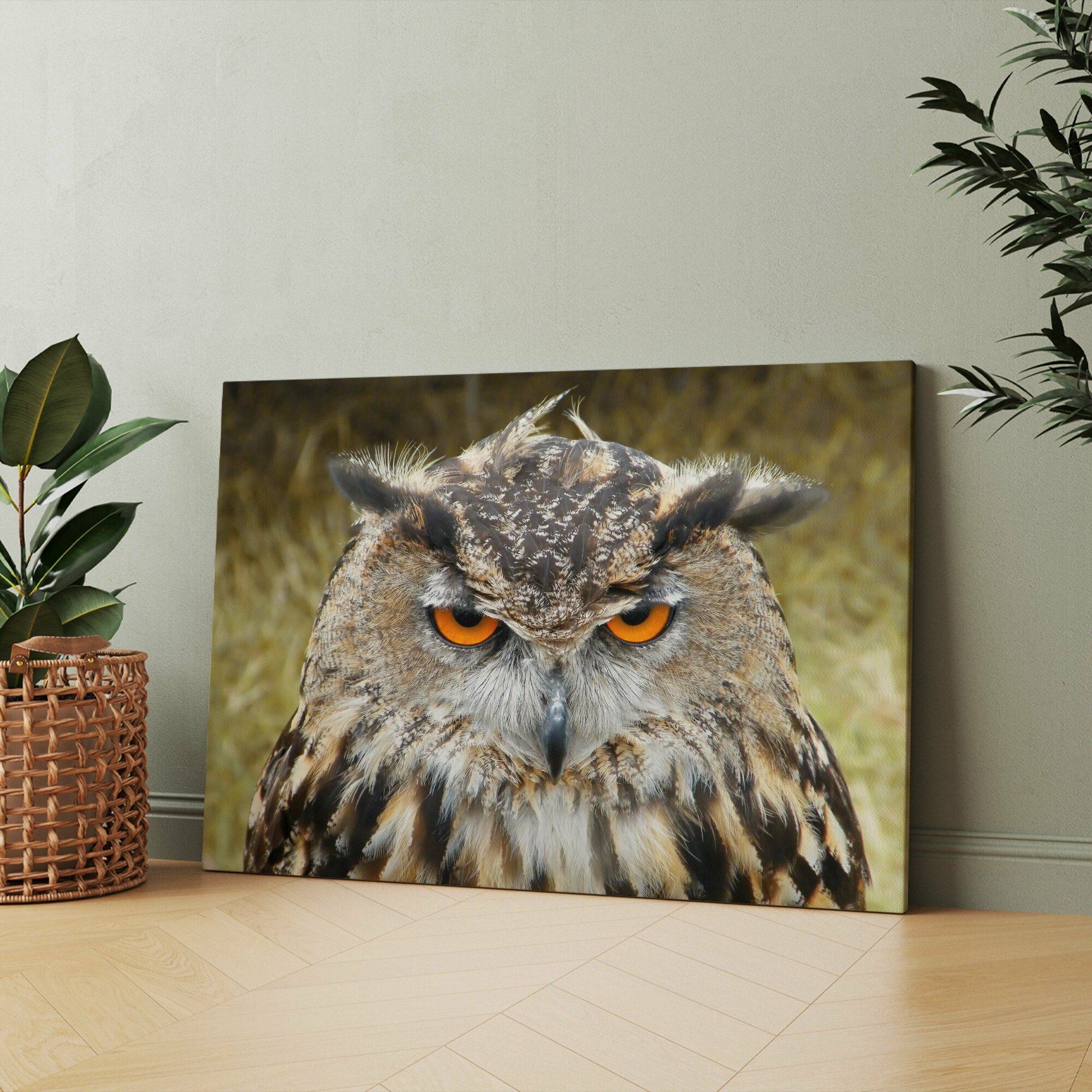 Картина на холсте (злая сова филин owl) 50x70 см/для интерьера/в комнату/на стену/в подарок