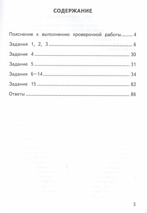 ВПР Русский язык. 4 класс. Тренажер. ФГОС - фото №2