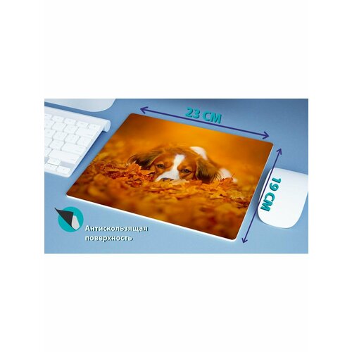 Коврик для мыши Собаки 386₽