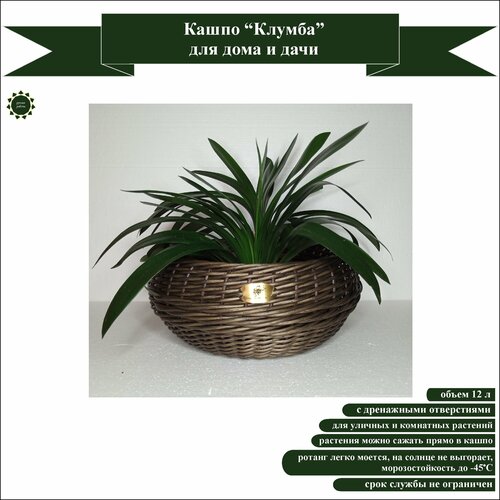 Кашпо Клумба плетеное 6-к бронза 12 для дома и дачи 2800₽