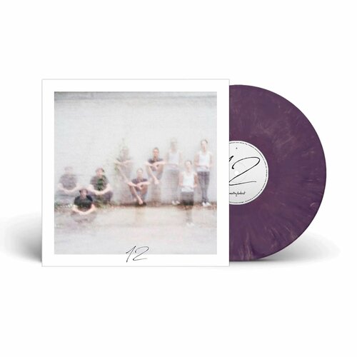 ANNENMAYKANTEREIT - 12 (LP purple marbled) виниловая пластинка