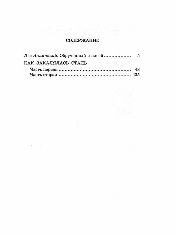 Как закалялась сталь (Островский Николай Алексеевич) - фото №2