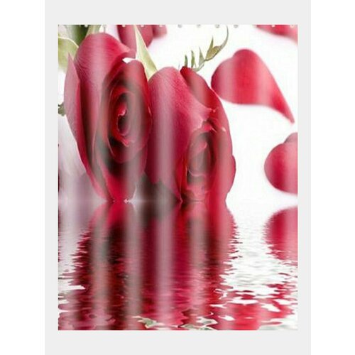 Штора для ванной комнаты Frap, 12 колец, тканевая штора, штора с рисунком, шторка