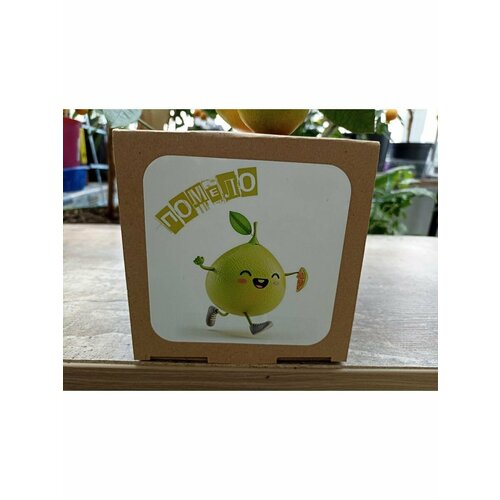 Набор для выращивания 