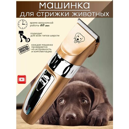 Машинка для стрижки GM-635 110000₽