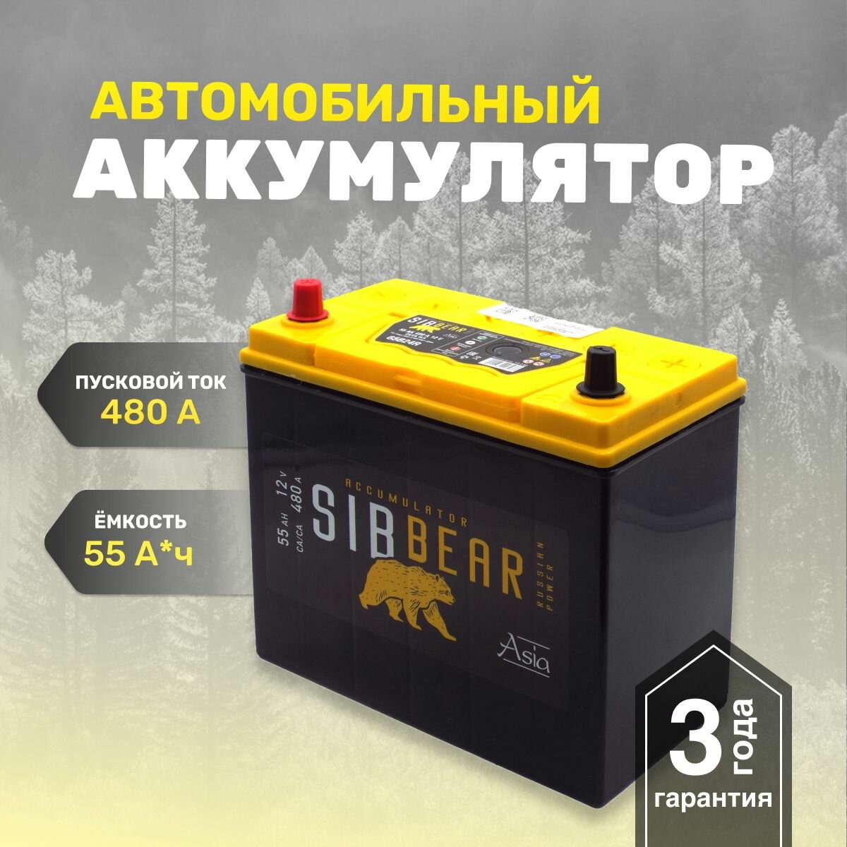 Аккумулятор автомобильный SIBBEAR ASIA 65B24R 55 А*ч п. п 238х125х225 Прямая полярность