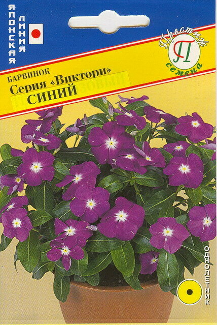 Семена Барвинок «Виктори Синий» ПРЕСТИЖ СЕМЕНА - фото №1