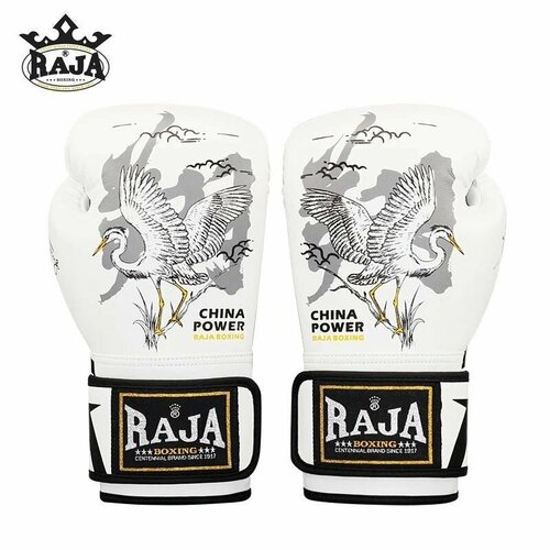 Перчатки боксерские Raja 5190₽