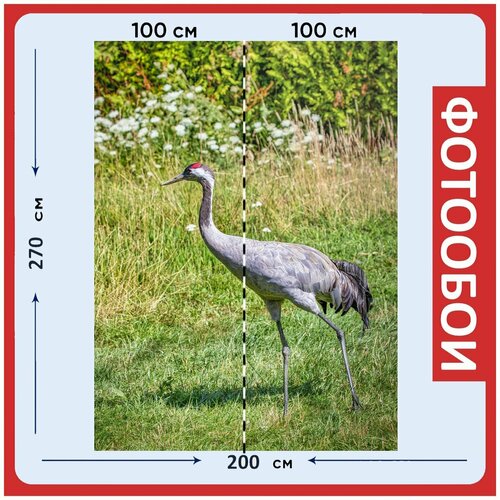 Фотообои Серый журавль птица трава 200x270 см флизелиновыена стену 2950₽