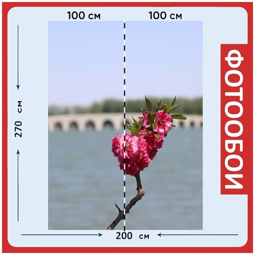 Фотообои Персиковый цвет цветы завод 200x270 см флизелиновыена стену 2940₽