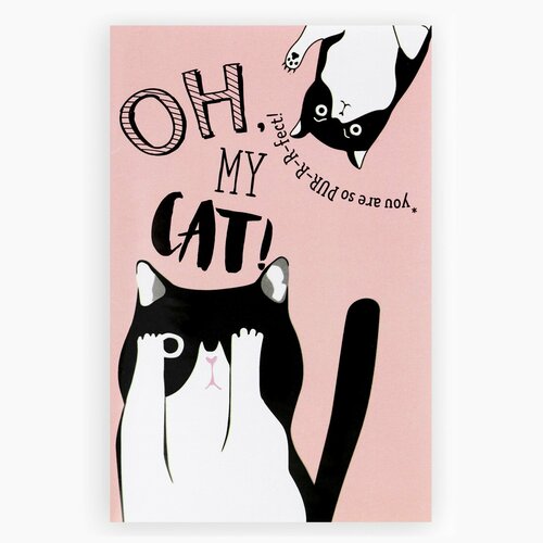 Блокнот Oh my CAT А6 32 листа 1шт 294₽