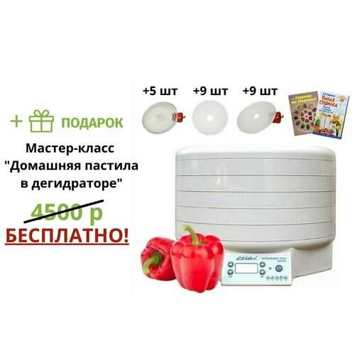 Набор «Домашний» Ezidri Snackmaker FD500 Digital (10 поддонов + 20 листов)