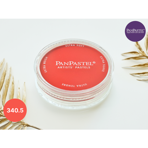 Ультрамягкая художественная пастель PanPastel 340.5, 9мл