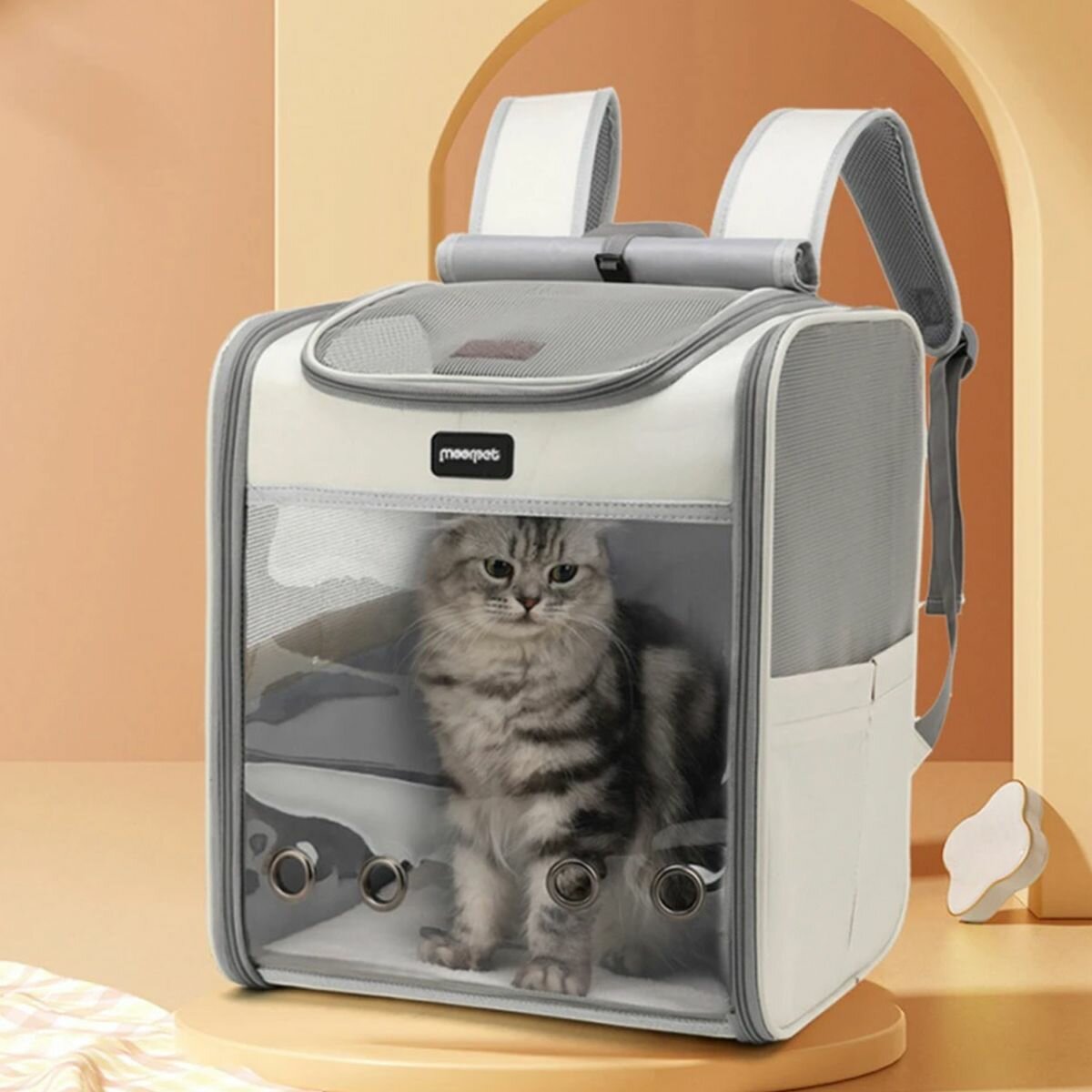 Кошка собака рюкзак сумка.