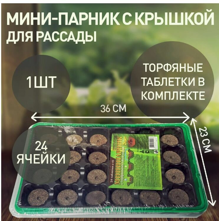 Мини-парник для рассады с крышкой и кассетой на 24 ячейки с торфяными таблетками