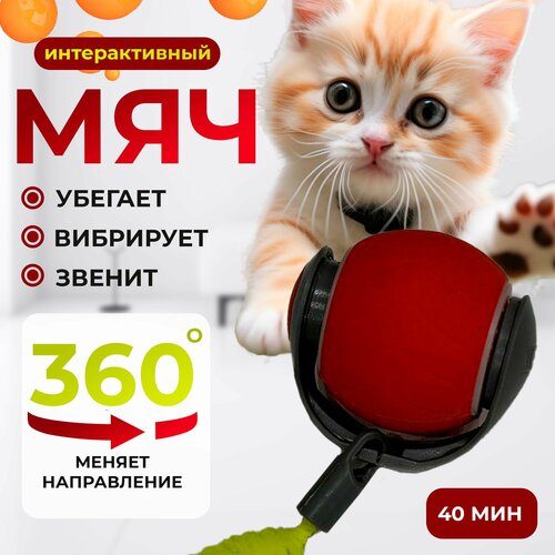 Игрушка интерактивная для кошек и собак, умная автоматическая дразнилка мяч для животных