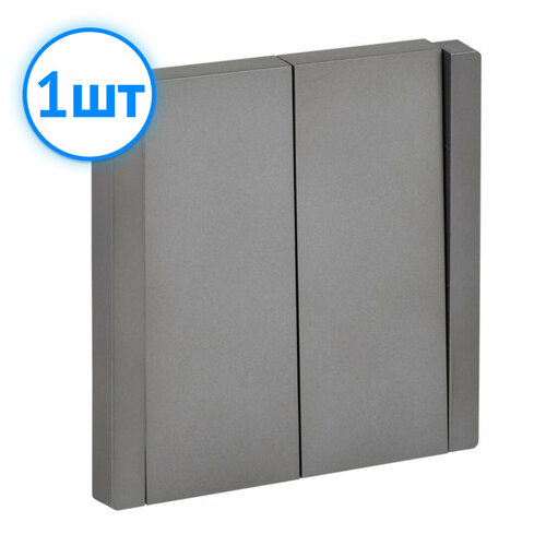 Выключатель двухклавишный проходной IEK FORTE&PIANO 10А FP507 сталь FP-V22-0-10-1-K46