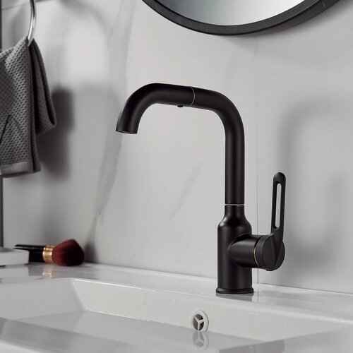 Изображение товара Смеситель для раковины Raffine F201H, нержавеющая сталь, цвет черный