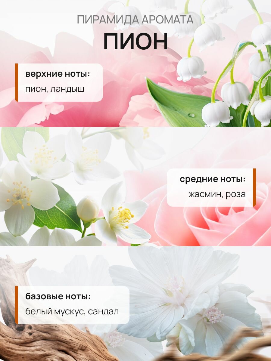 Диффузор для дома с палочками/ Пион+Свежий хлопок набор 2 шт по 50 мл Lekana Brand — фото 1