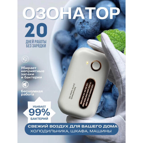 фото Озонатор для дома, шкафа, холодильника, ванной, спальни, автомобиля ecohitek