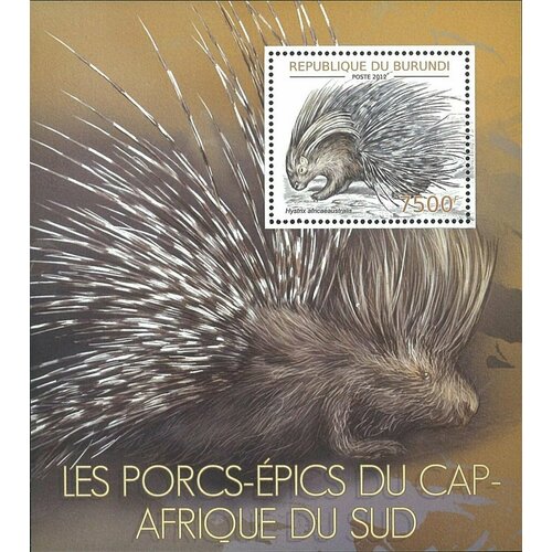 Почтовые марки Бурунди 2012г. Дикобраз Южной Африки Фауна MNH