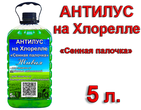 Антилус на Хлорелле (Сенная палочка) 5 литров.