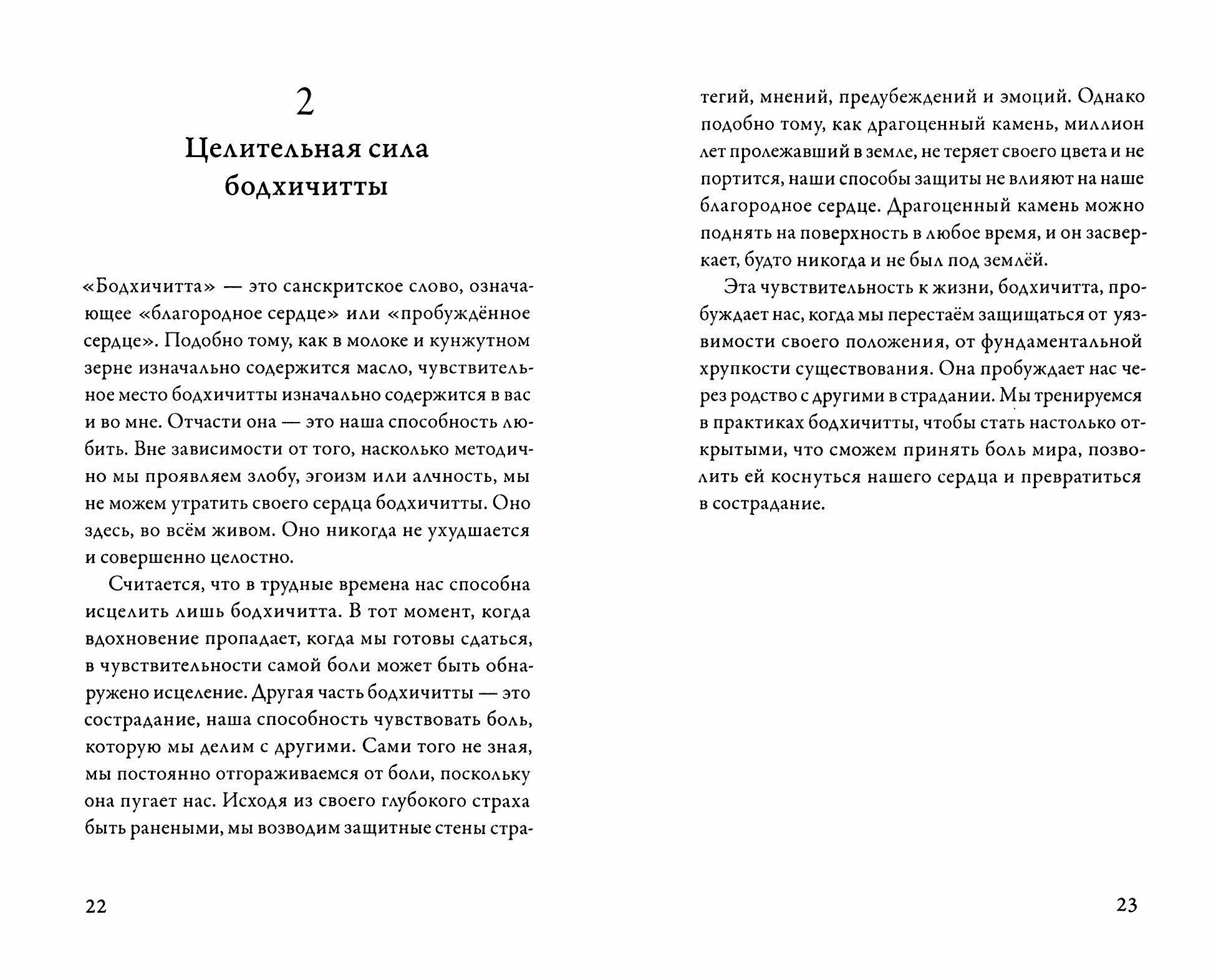 Спокойствие в неопределённости. 108 учений о развитии бесстрашия и сострадания - фото №2