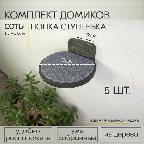 Лесенка для кошек на стену, 5 шт / Деревянные ступеньки 12х17см / Настенный игровой комплекс