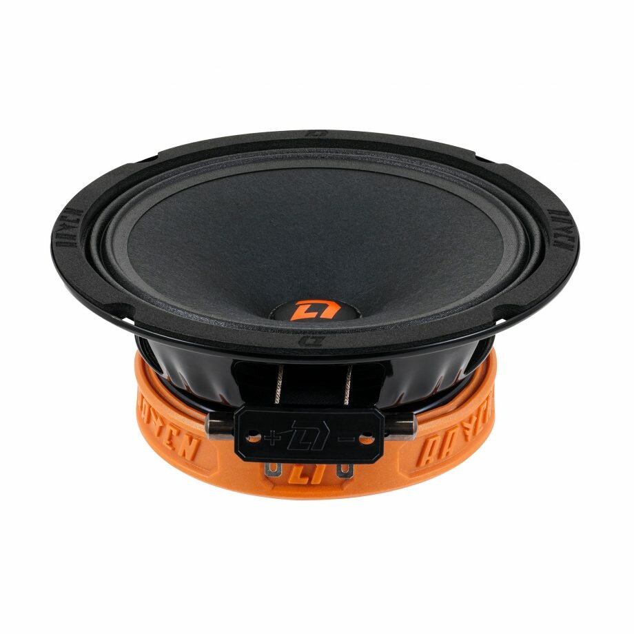 Акустика DL Audio Raven 165 V2