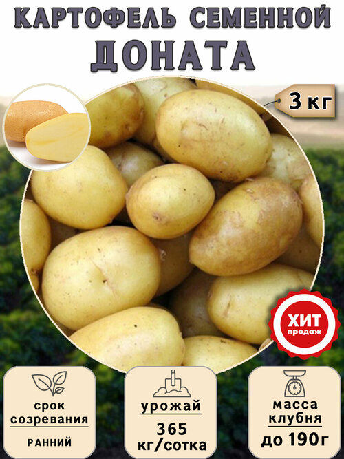 Клубни картофеля на посадку Доната (суперэлита) 3 кг Ранний