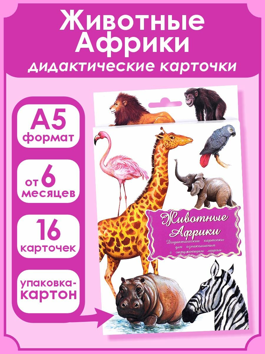 Дидактические карточки Маленький гений Животные Африки - фото №18