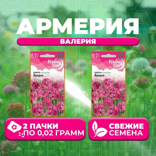 Армерия Валерия, 0,02г, Гавриш, Розовые сны (2 уп) изюмченко валерия дмитриевна южные сны