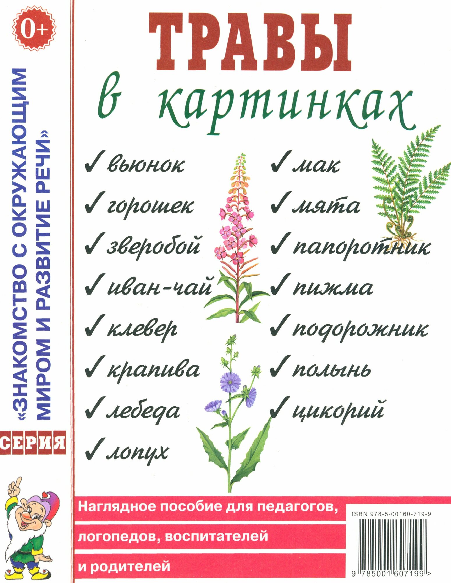 Травы в картинках. Наглядное пособие для педагогов, логопедов, воспитателей и родителей